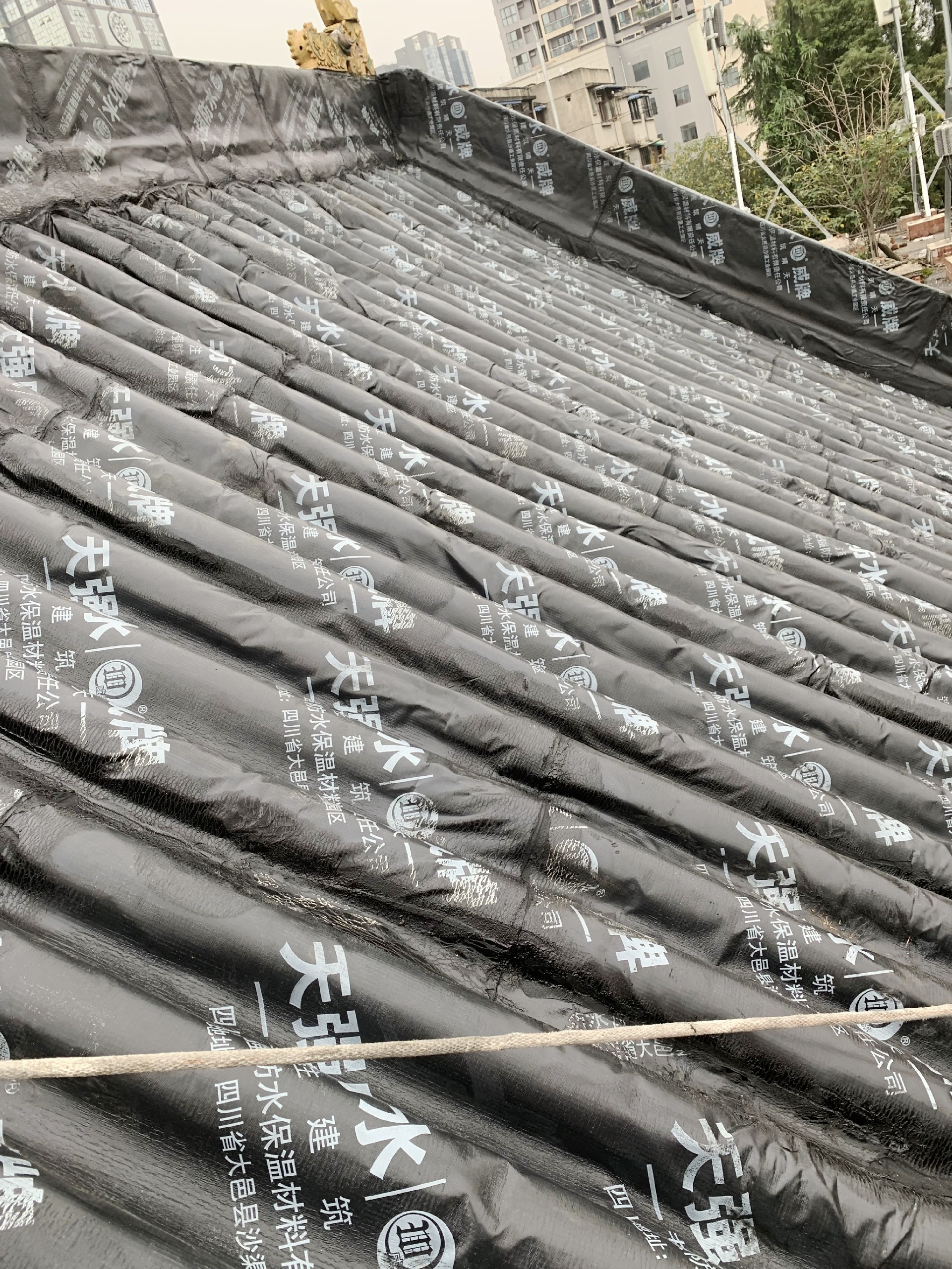 1699322488198952 1699322488198952