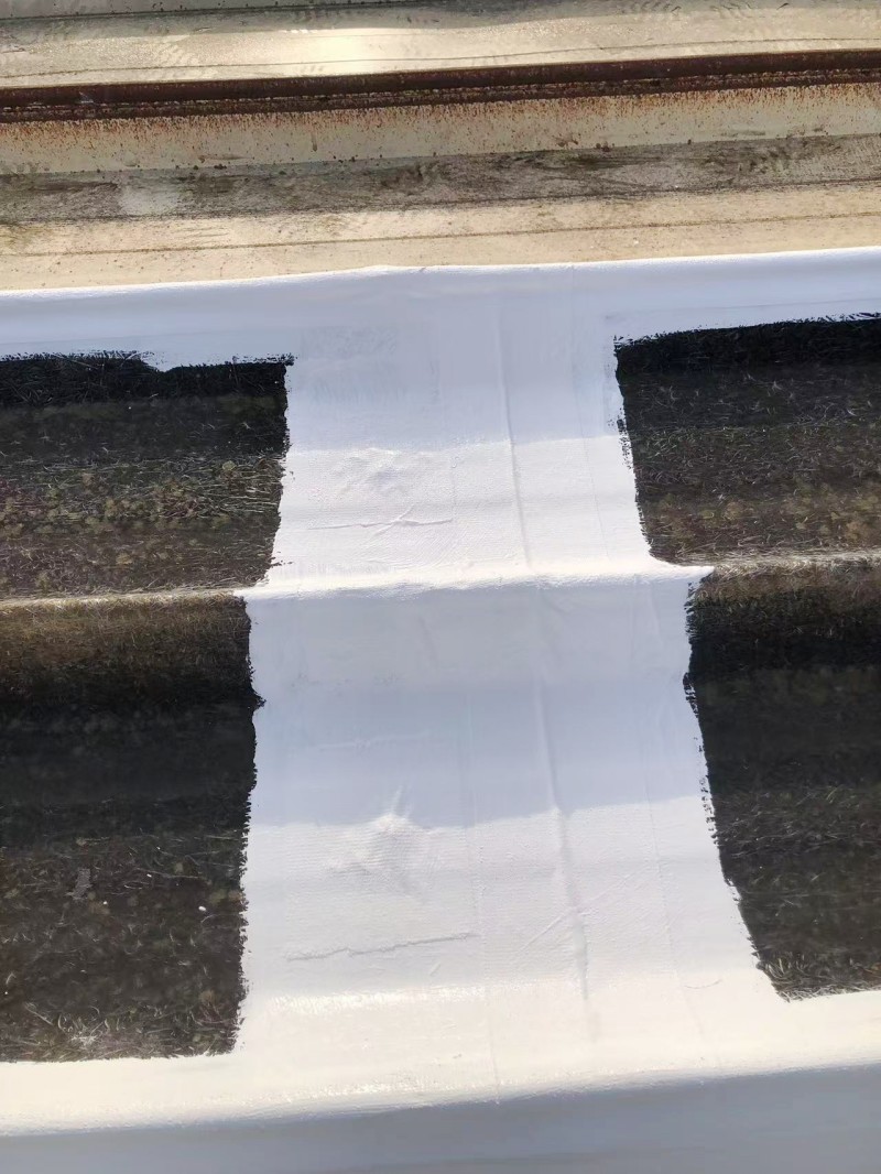 1731556360166559 1731556360166559